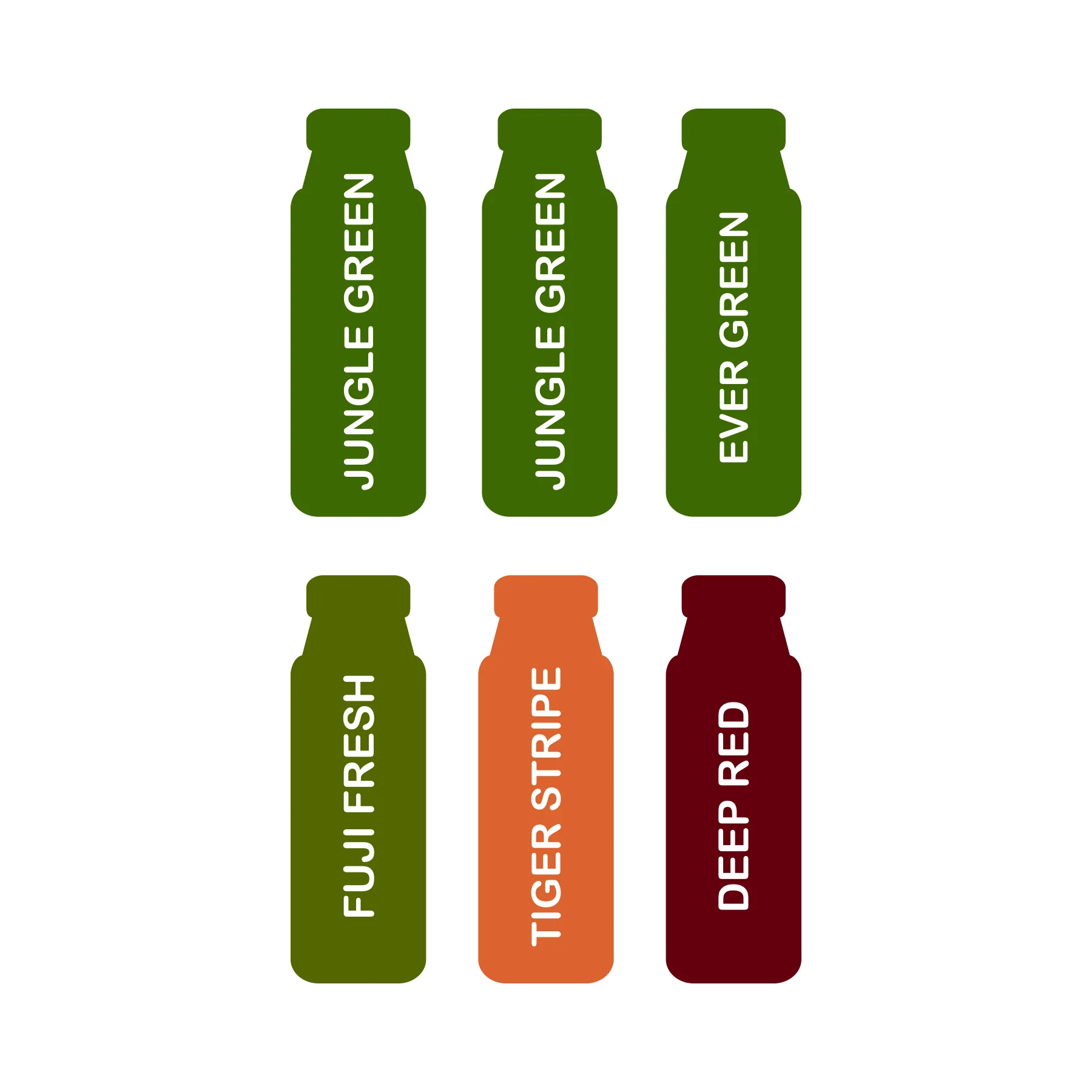1 Day Cleanse #3 — LIVING COLOR JUICE